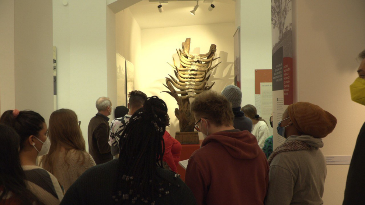Mehrere Personen, die im Museum auf der Hardt gemeinsam ein Exponat betrachten.